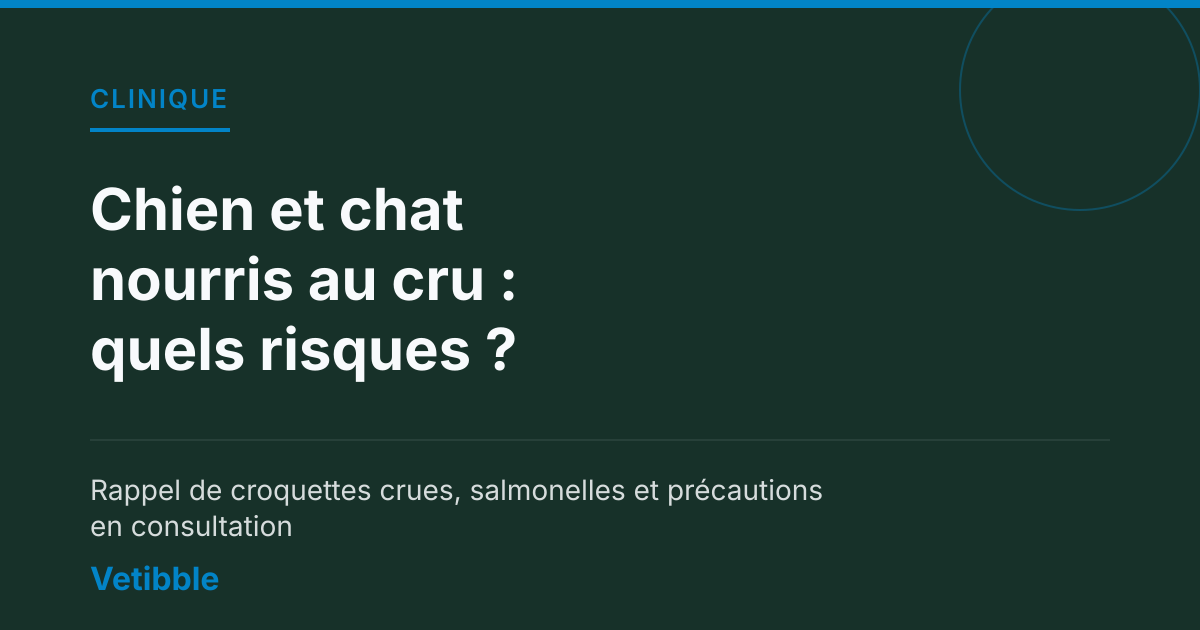 Chien et chat nourris au cru : quels risques ?