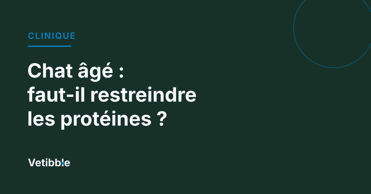Chat âgé : faut-il restreindre les protéines ?