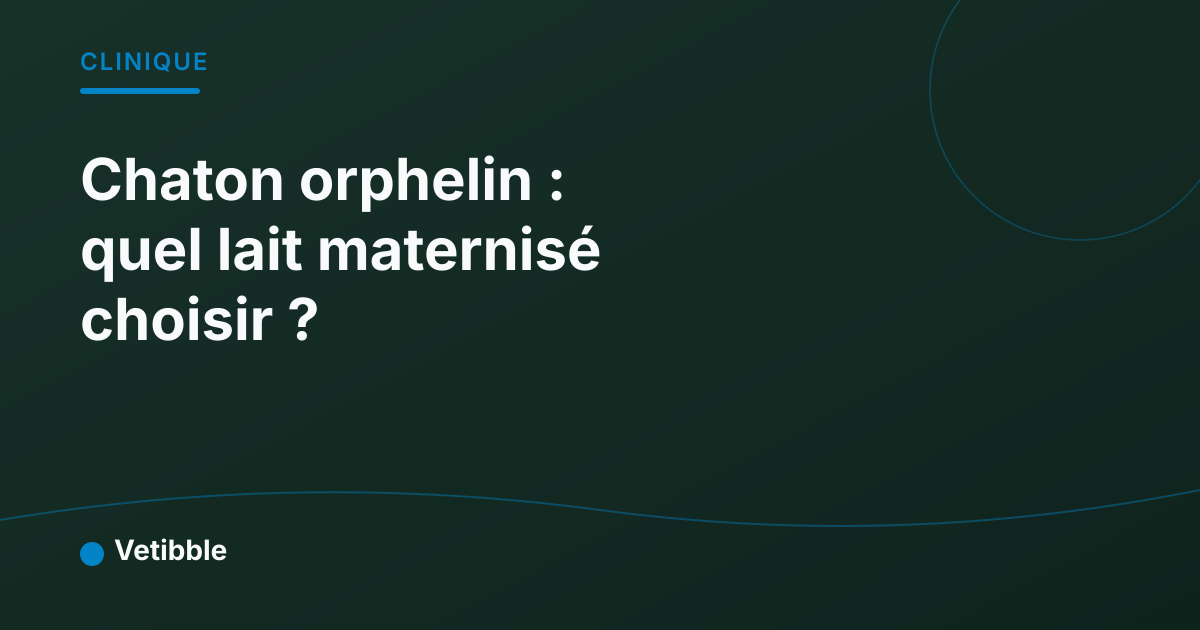 Chaton orphelin : quel lait maternisé choisir ?