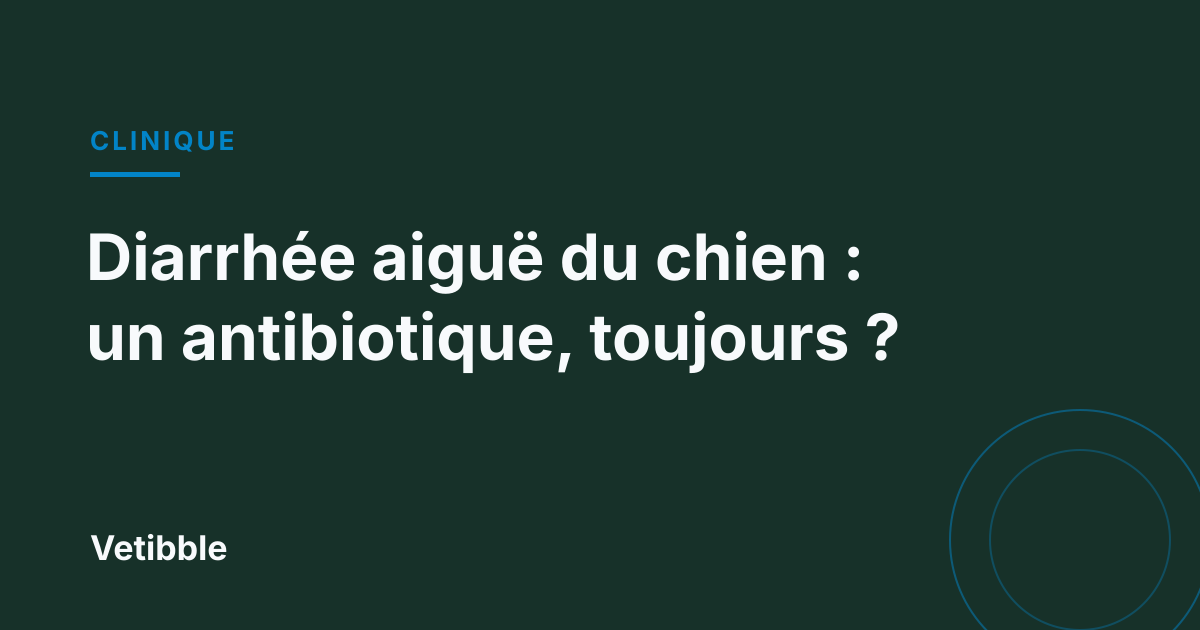 Diarrhée aiguë du chien : un antibiotique, toujours ?