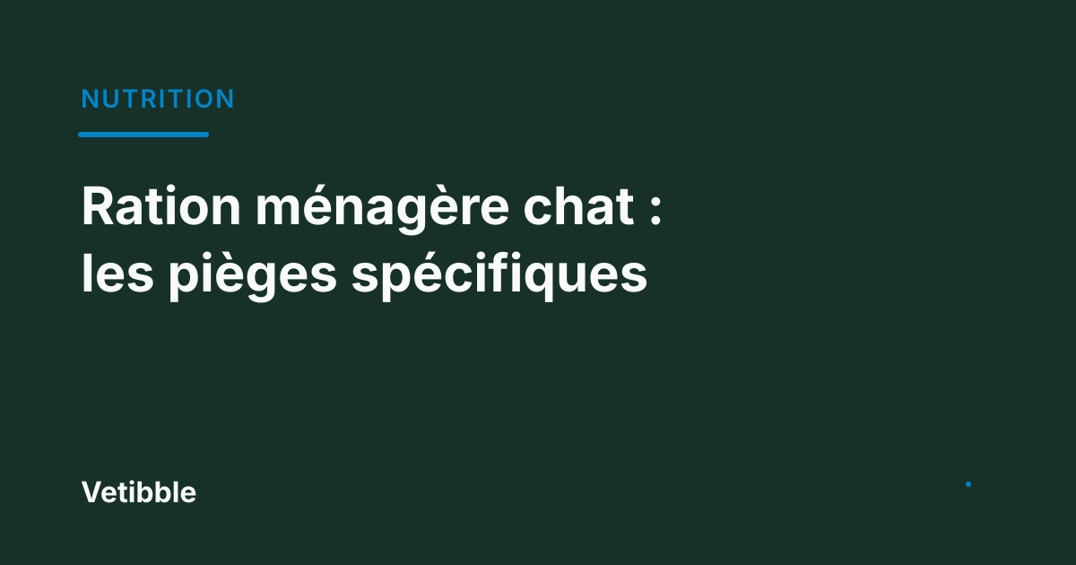 Ration ménagère chat : les pièges spécifiques